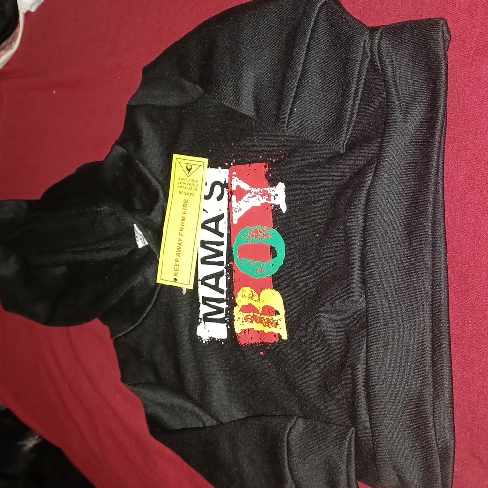 Baby Boy Pullover Hoodie
